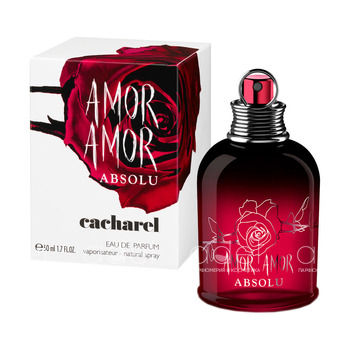 Amor Amor Absolu