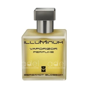 Bergamot Blossom