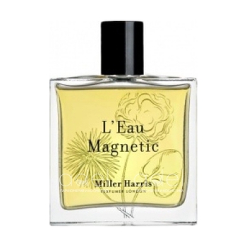 L'Eau Magnetic