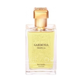 Gardenia Tropical