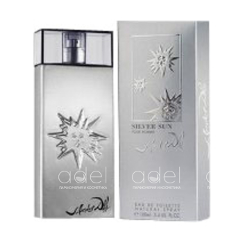 Silver Sun