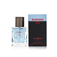 ICEBERG Burning Ice