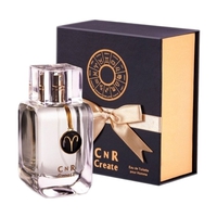 CNR CREATE Aries