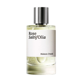 Rose SaltifOlia