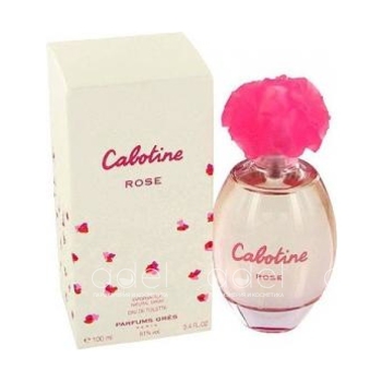Cabotine Rose