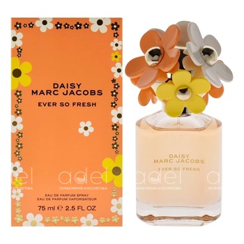 Daisy Ever So Fresh