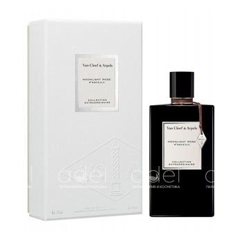 Collection Extraordinaire Moonlight Rose