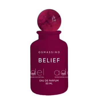 Belief