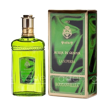 La Superba Bouganvillea