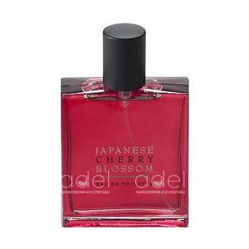 Japanese Cherry Blossom