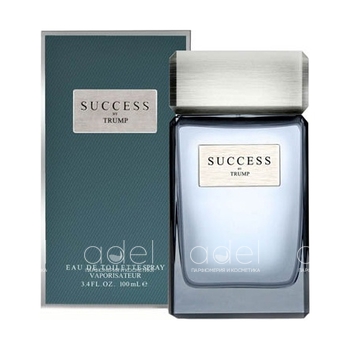 Success